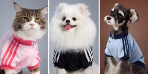 آدیداس از مجموعه پاییزی لباس حیوانات خانگی رونمایی کرد