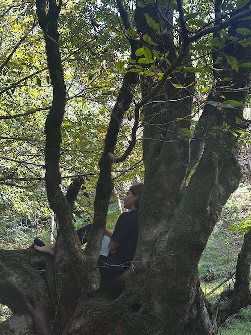 دیبا زاهدی در جنگل