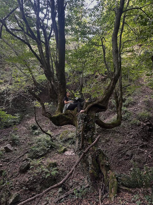 دیبا زاهدی در جنگل