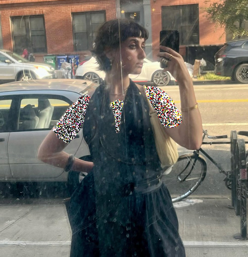 استایلهای بانوی اول جدید نیویورک