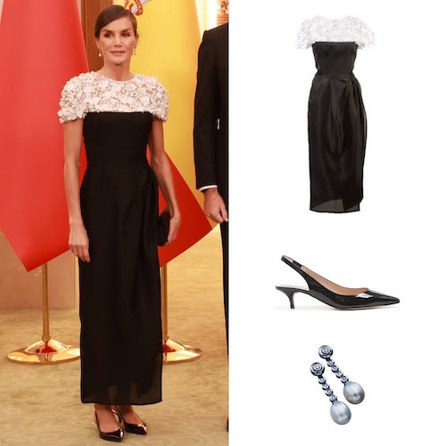 ملکه لتیزیا در کنسرت