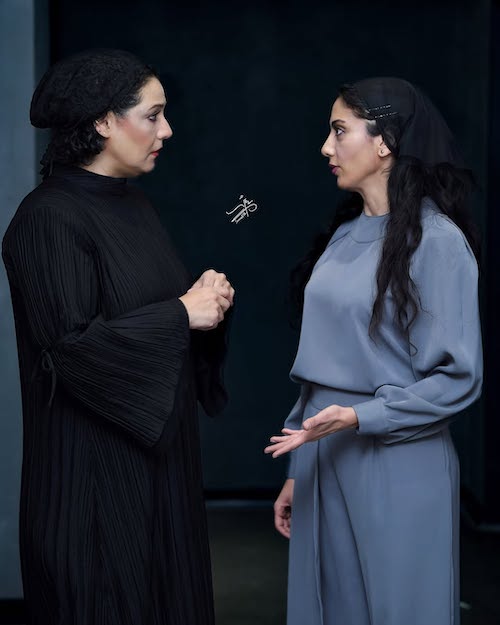 پیراهن مشکی شبنم مقدمی