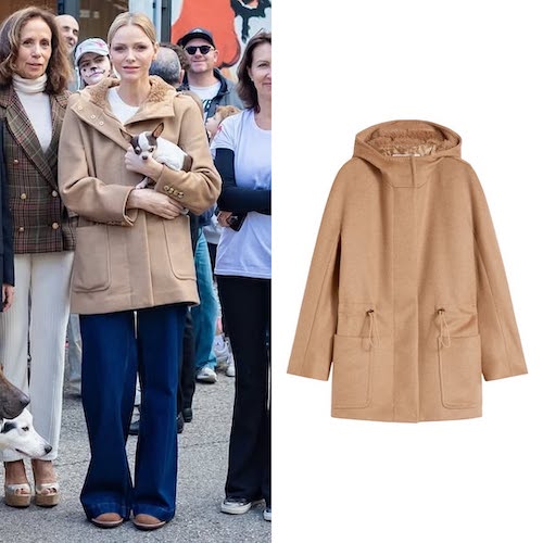 کت اورسایز پرنسس شارلین