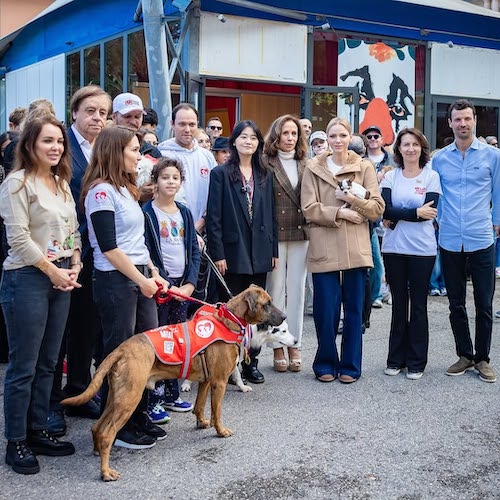 کت اورسایز پرنسس شارلین