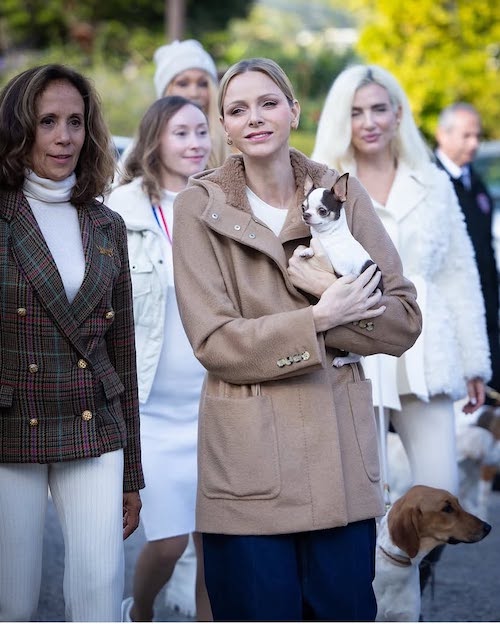 کت اورسایز پرنسس شارلین