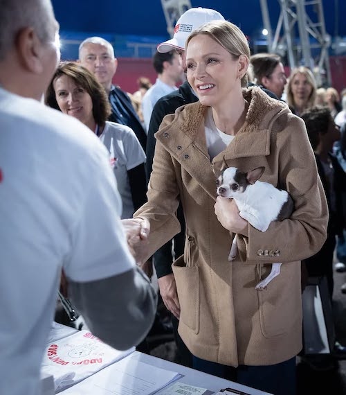 کت اورسایز پرنسس شارلین