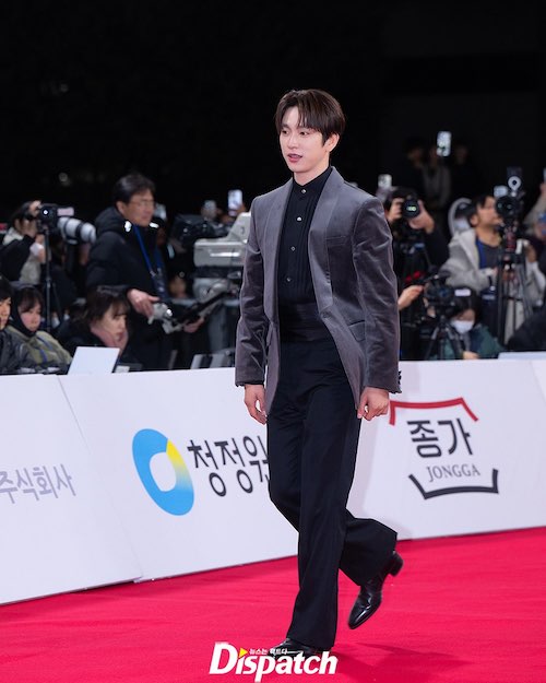 ستاره‌های کره‌ای در مراسم اژدهای آبی