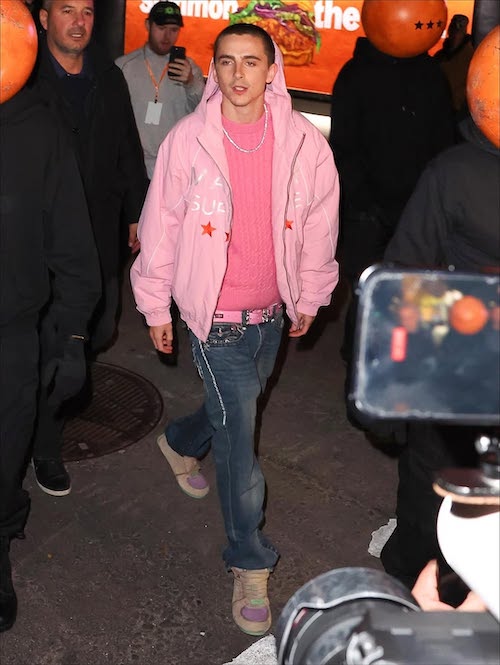 استایل صورتی تیموتی شالامه