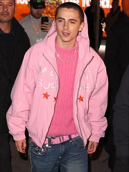 استایل صورتی تیموتی شالامه