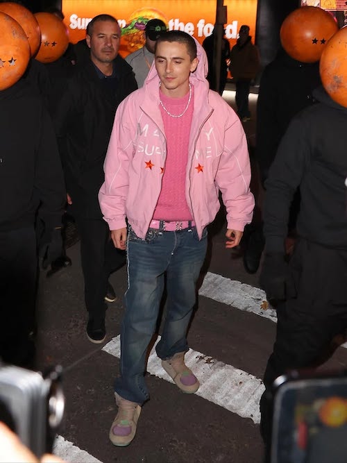 استایل صورتی تیموتی شالامه