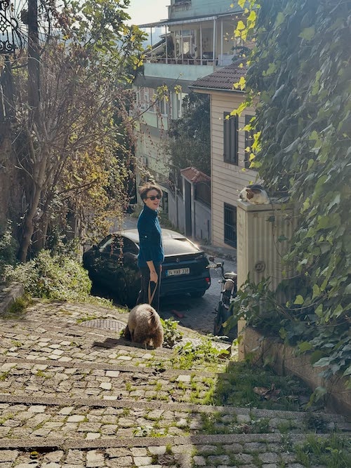 عکس‌های اخیر بیرجه آکالای