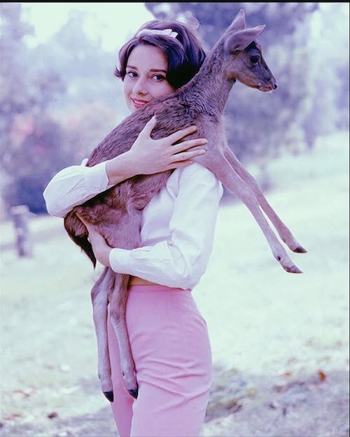 آدری هپبورن و آهویش