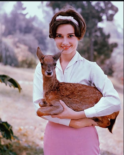 آدری هپبورن و آهویش