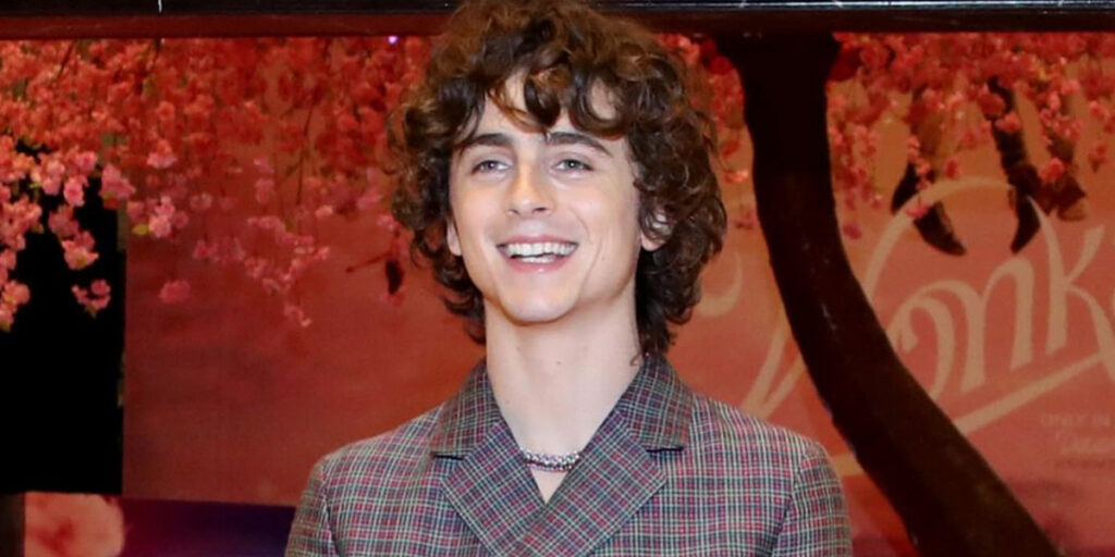 استایل صورتی تیموتی شالامه