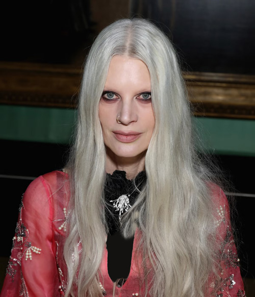 مدل برای موهای خاکستری