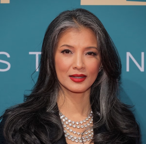 مدل برای موهای خاکستری