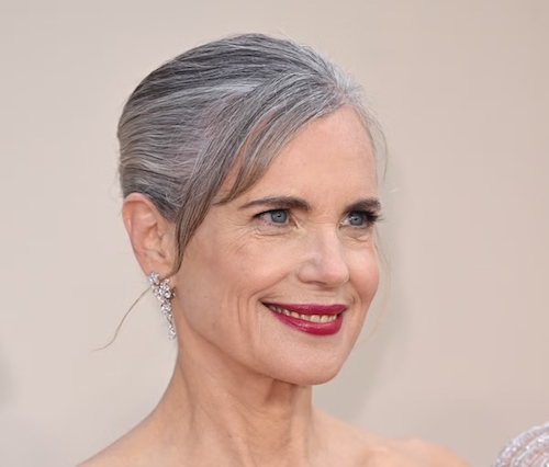 مدل برای موهای خاکستری