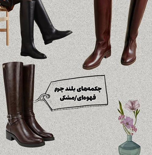 کفشهای همیشگی