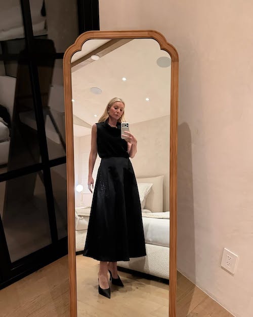 استایلهای سیاه و سفید گوئینث پالترو