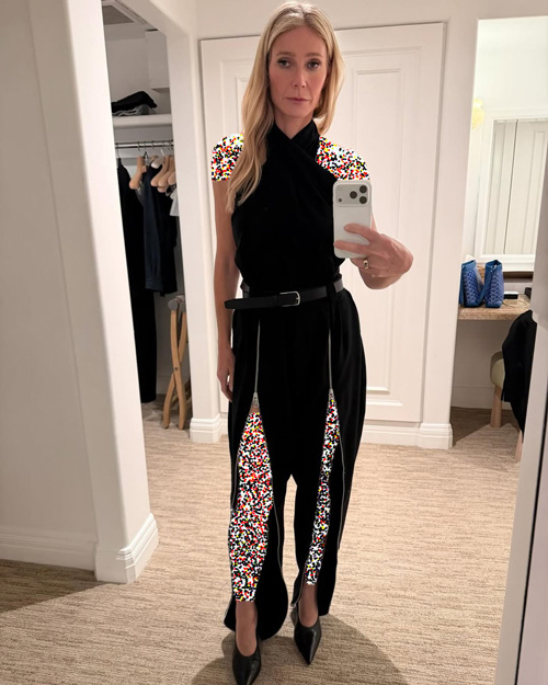 استایلهای سیاه و سفید گوئینث پالترو