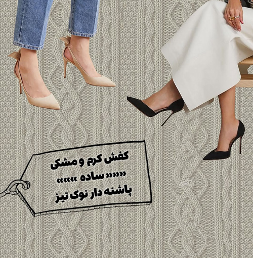 کفشهای همیشگی