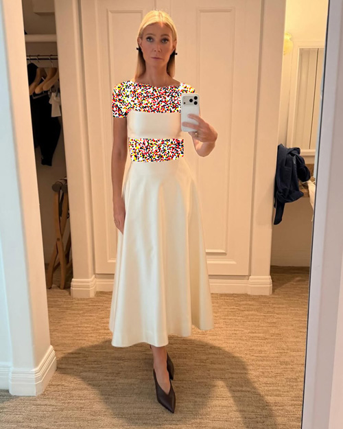 استایلهای سیاه و سفید گوئینث پالترو