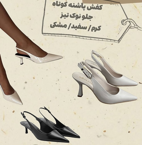 کفشهای همیشگی