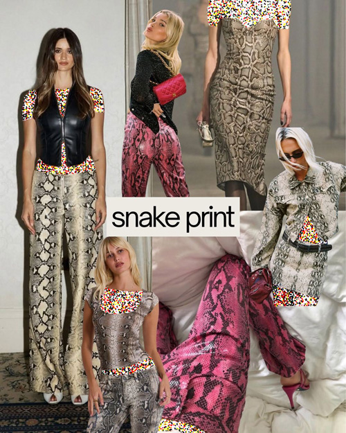 ترندهای ۲۰۲۶