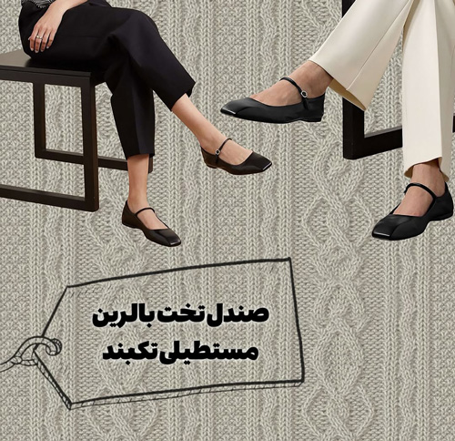 کفشهای همیشگی