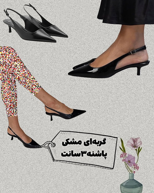 کفشهای همیشگی