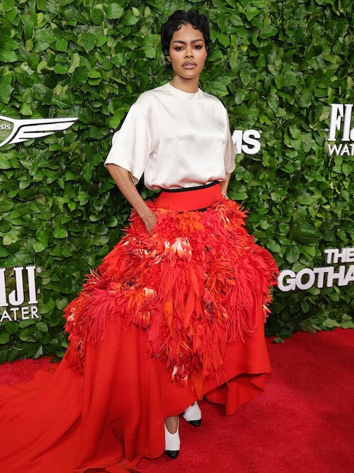 مهمانان اهدای جوایز گاتهام