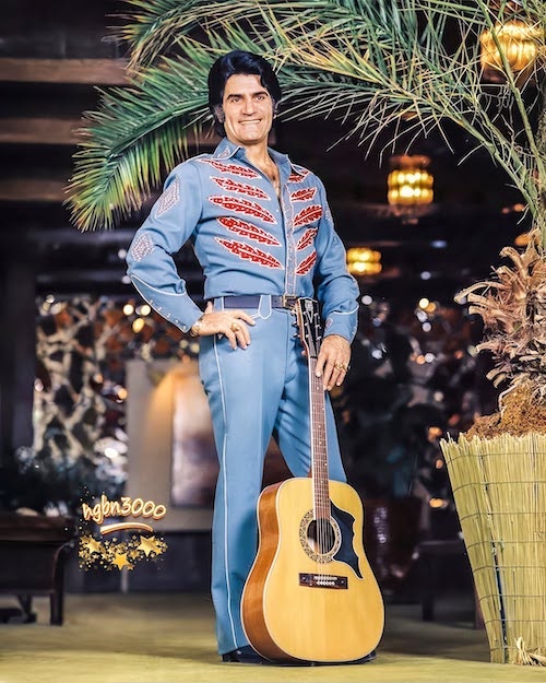 استایل خاص ویگن