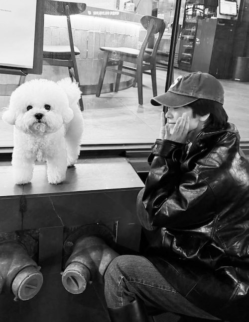 استایلهای رنگارنگ سونگ ههکیو