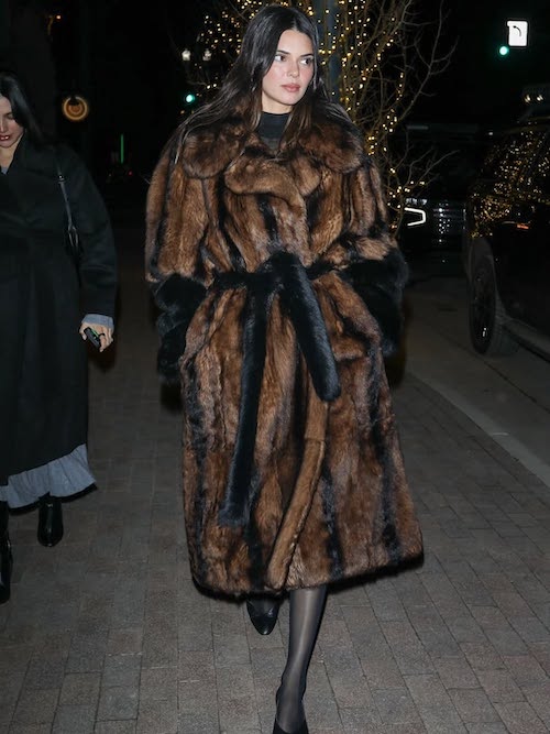 علاقه‌ی کندال جنر به خز