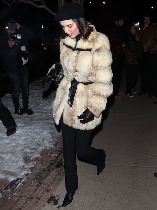 علاقه‌ی کندال جنر به خز