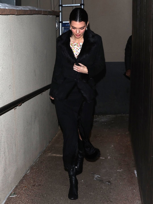 علاقه‌ی کندال جنر به خز