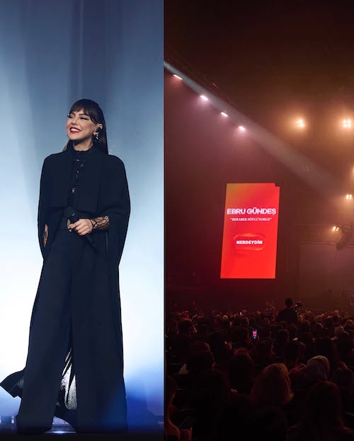 استایل‌های مشکی ابرو در کنسرت اخیرش