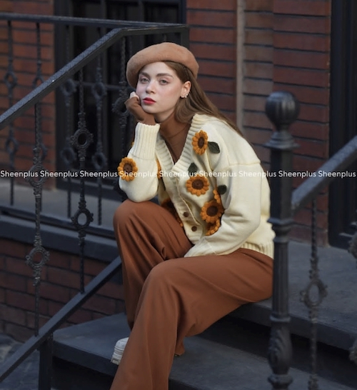 کاردیگن در استایل زمستانی