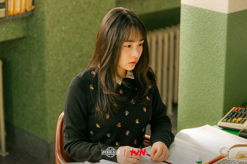 استایل‌های خانواده تایفون