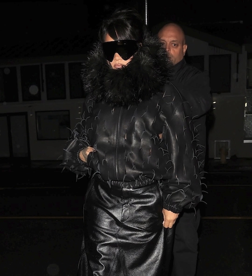 ترند کتهای خزدار