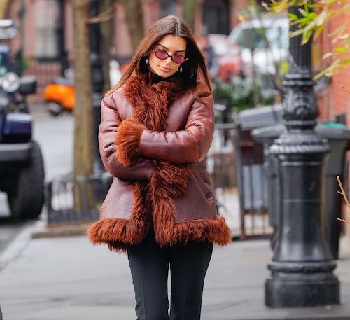 ترند کتهای خزدار