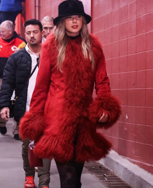 ترند کتهای خزدار