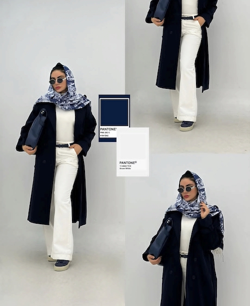 ترکیب رنگ‌های زمستانی