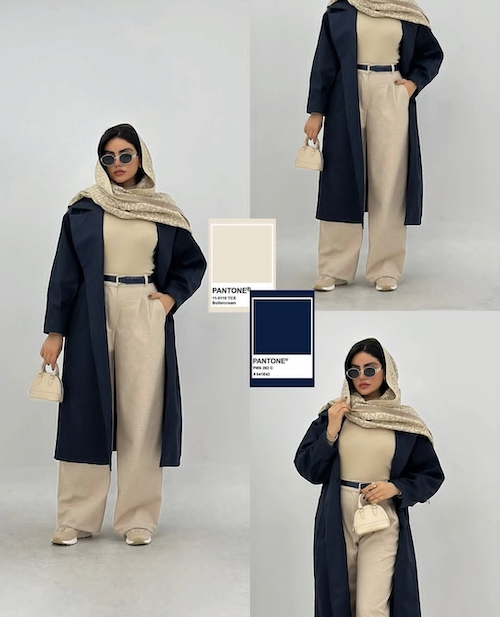 ترکیب رنگ‌های زمستانی