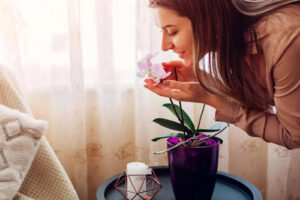 می‌خواهید بدون عطر خوشبو باشید؟ این راهنما را از دست ندهید