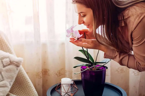 می‌خواهید بدون عطر خوشبو باشید؟ این راهنما را از دست ندهید