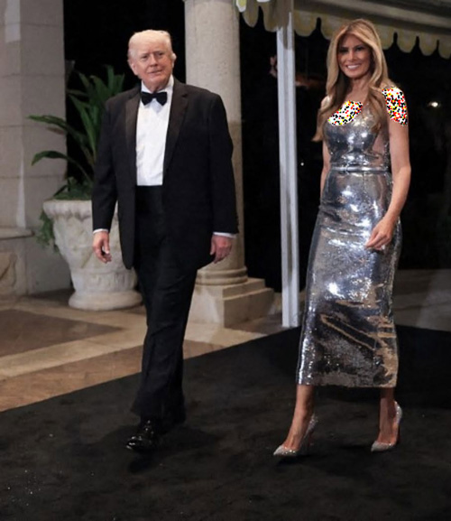 ملانیا ترامپ در مهمانی سال نو