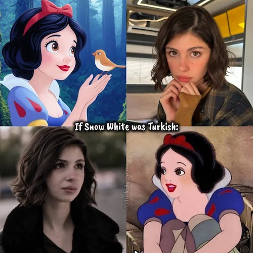 بازیگران ترک و پرنسسهای دیزنی