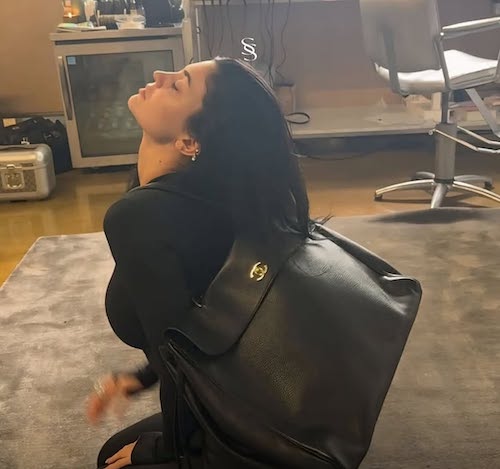 کیف جدید شنل