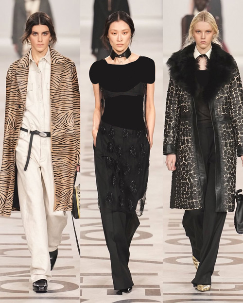 ستارگان در فشنشوی فندی